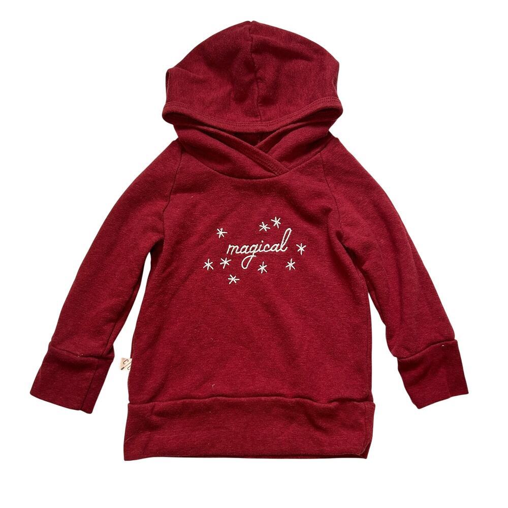 Childhoods Clothing Co. "Magical" Pullover Hoodie - 12-18M
